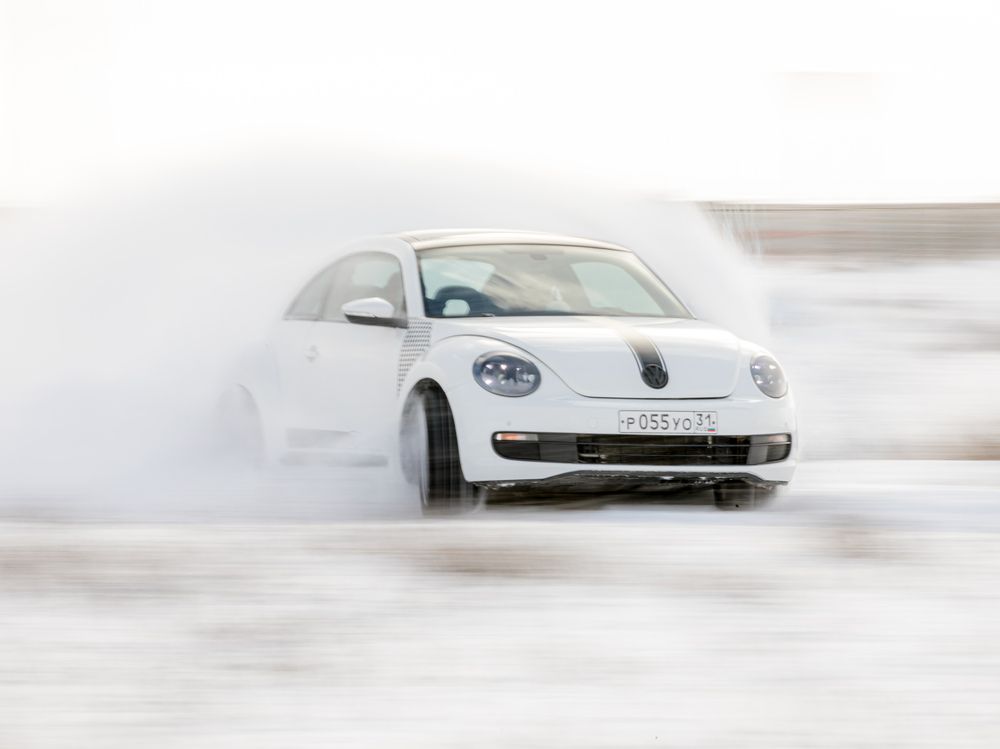 Самый быстрый жук!