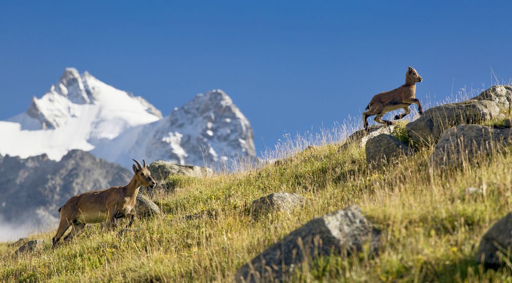 Photograph by Vladimir Ostapenko