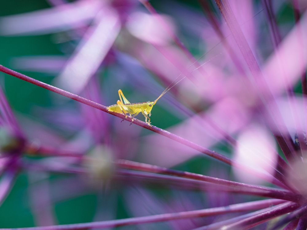 Photograph by Ирина Протченко