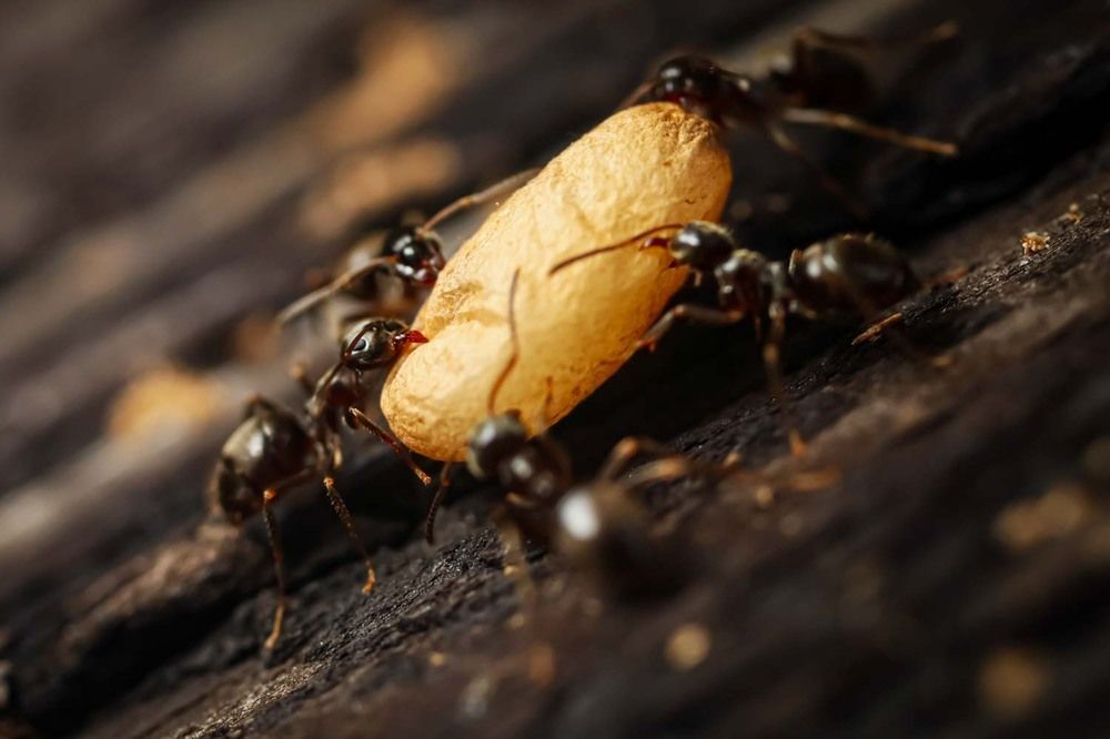 Photograph by Сергей Назаредский