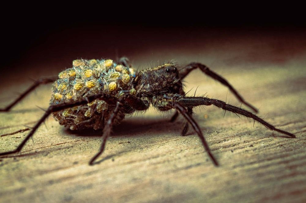 Photograph by Сергей Назаредский