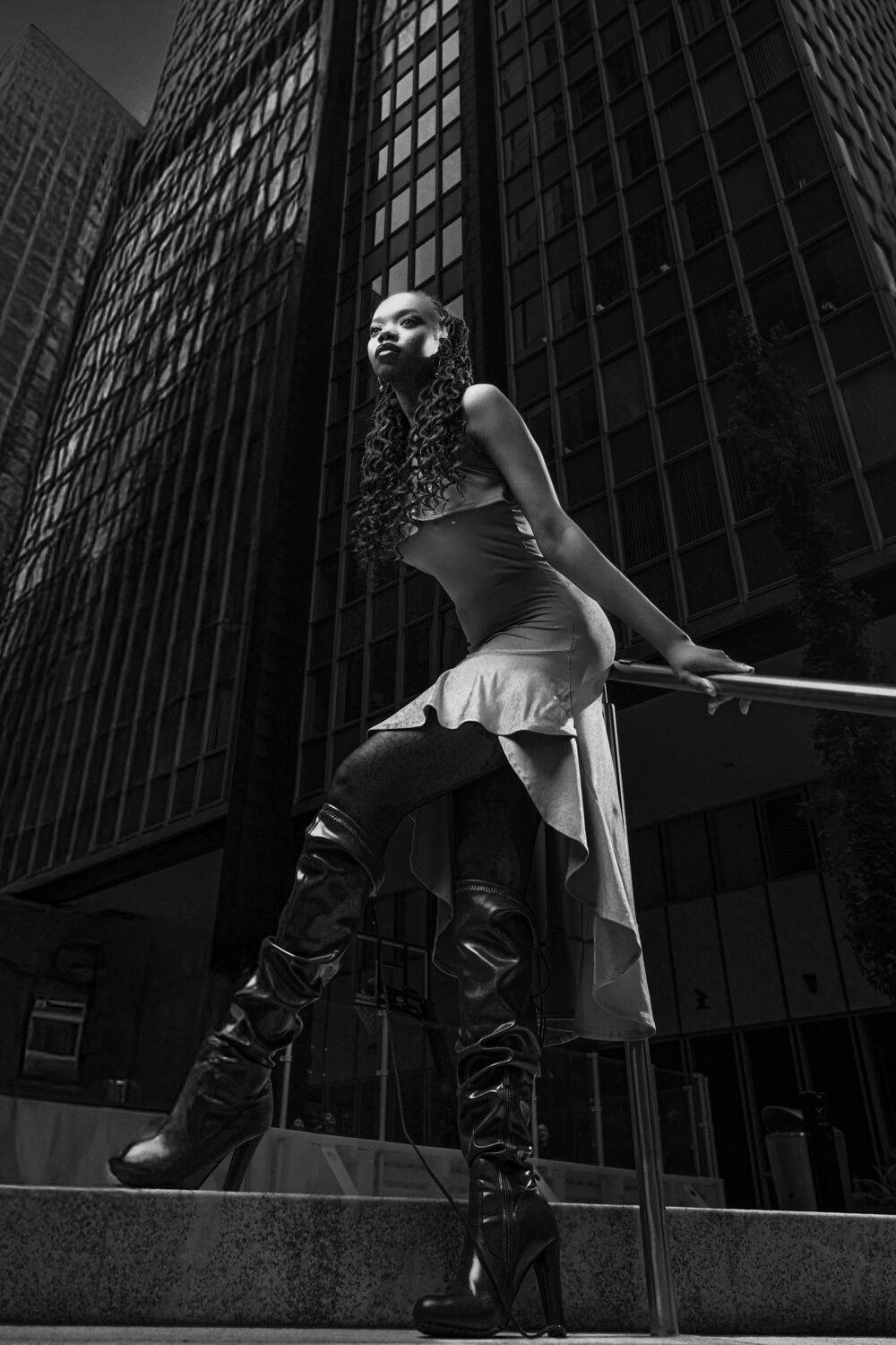 Elegance in the Shadows Elegance in the Shadows