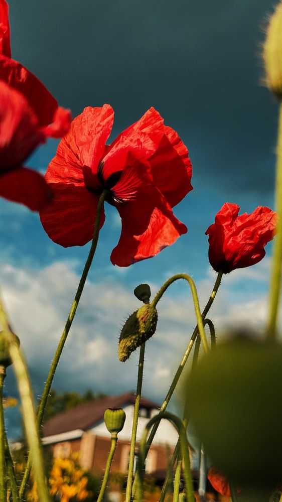Photograph by Кристина Аносова