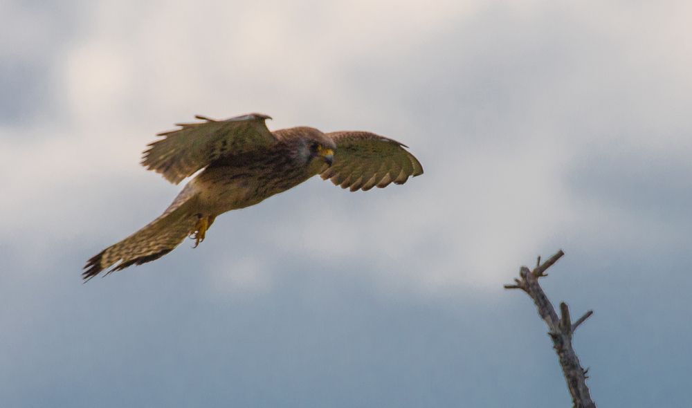 Photograph by Константин Искучеков