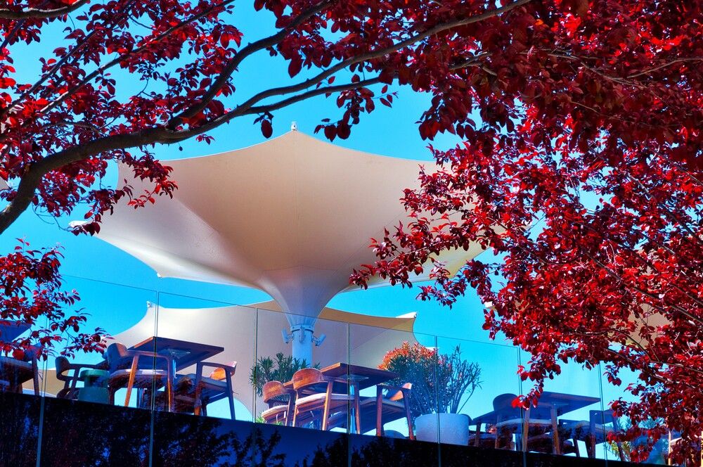 Photograph by Андрей Евтеев