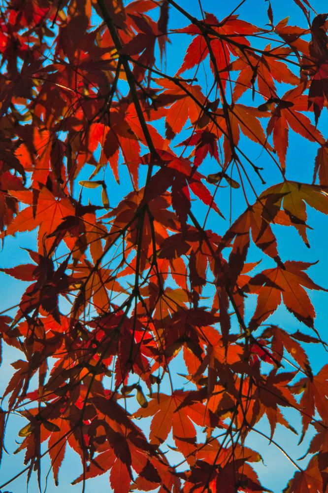 Photograph by Андрей Евтеев