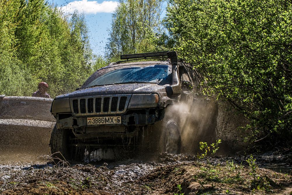 Photograph by Светлана Филипеня