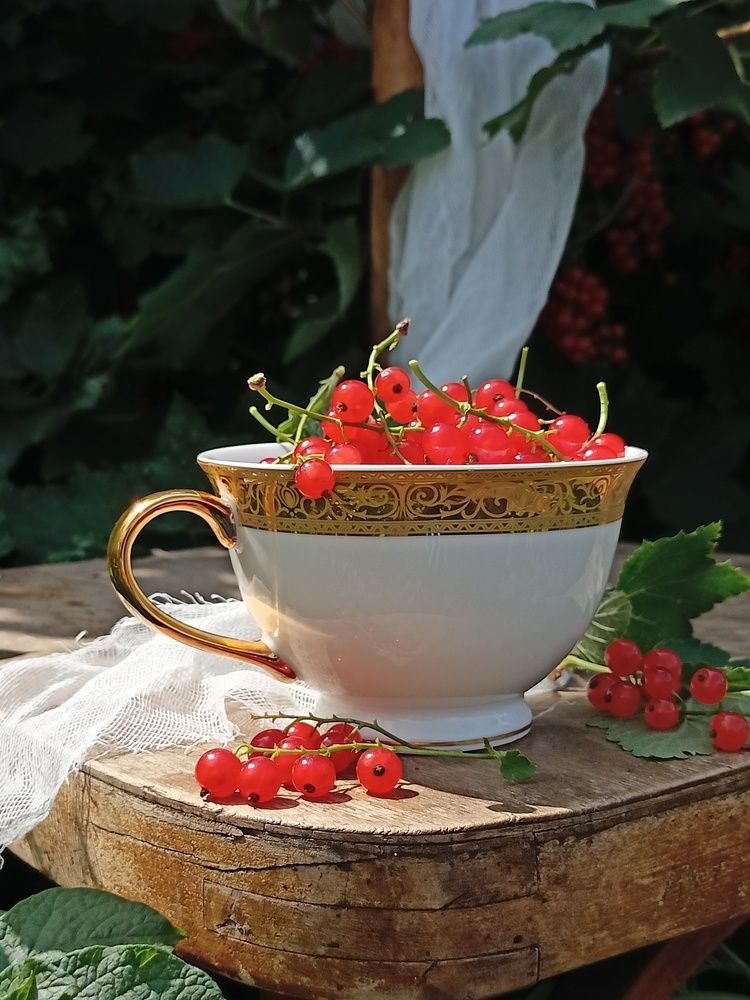 Фотография автора Татьяна Шахова