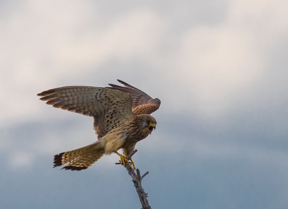Photograph by Константин Искучеков