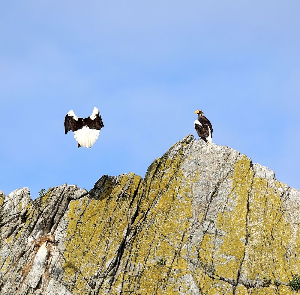 Photograph by Лариса Ким