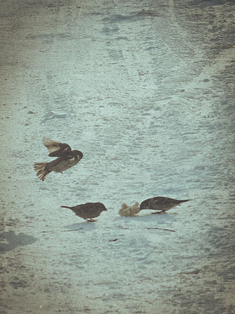 Photograph by Татьяна Небрат