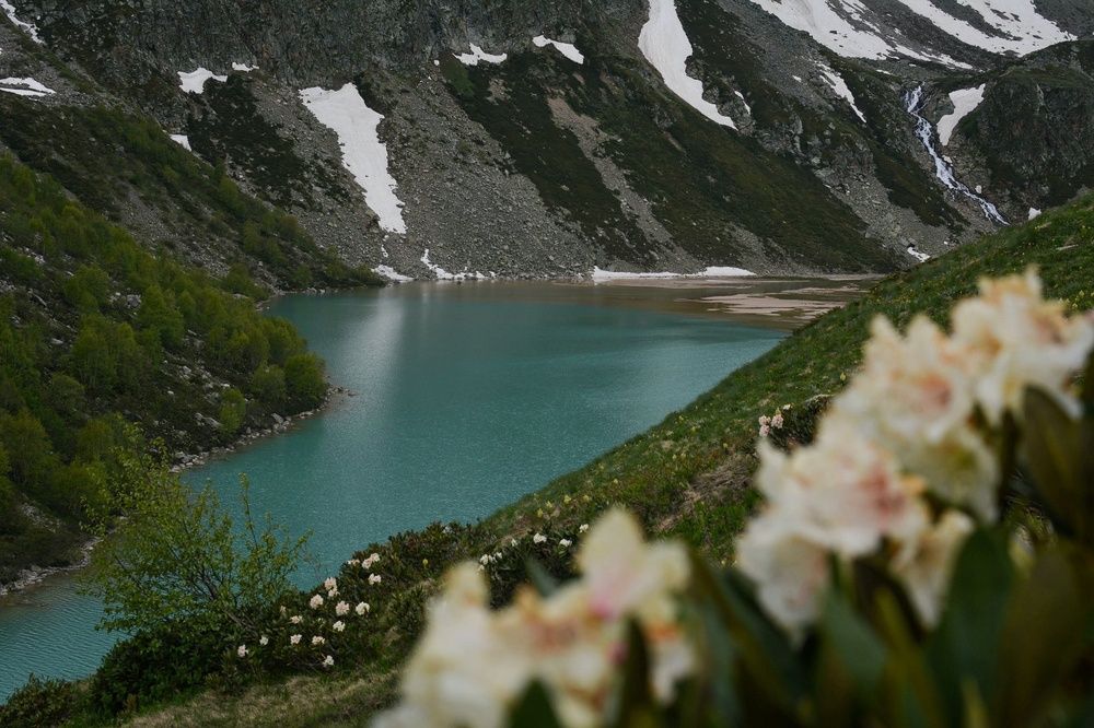Photograph by Ирина Кучеренко