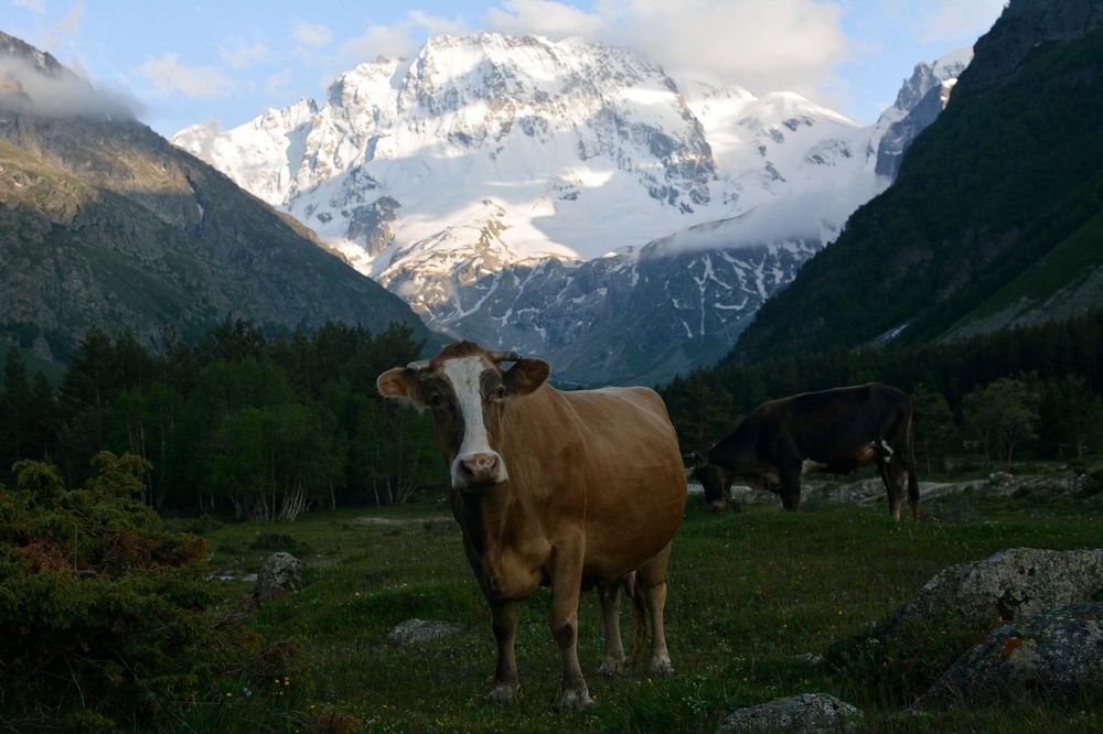 Photograph by Ирина Кучеренко