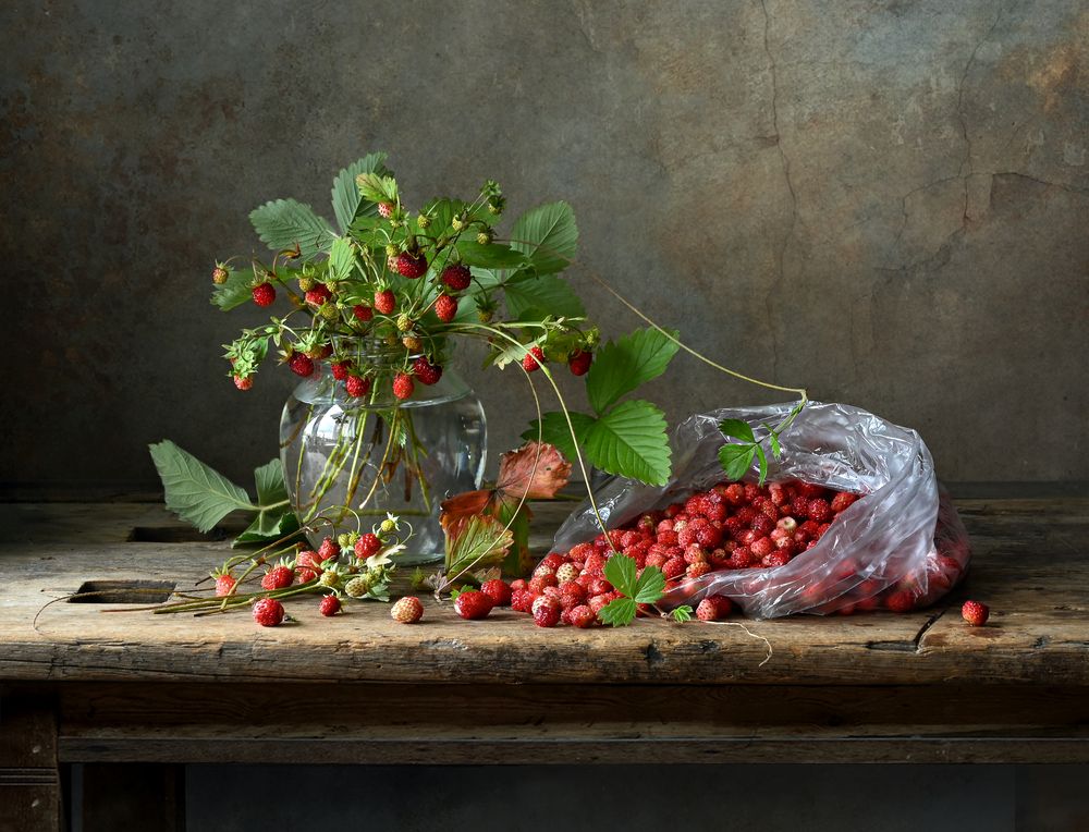 Photograph by Елена Виноградова