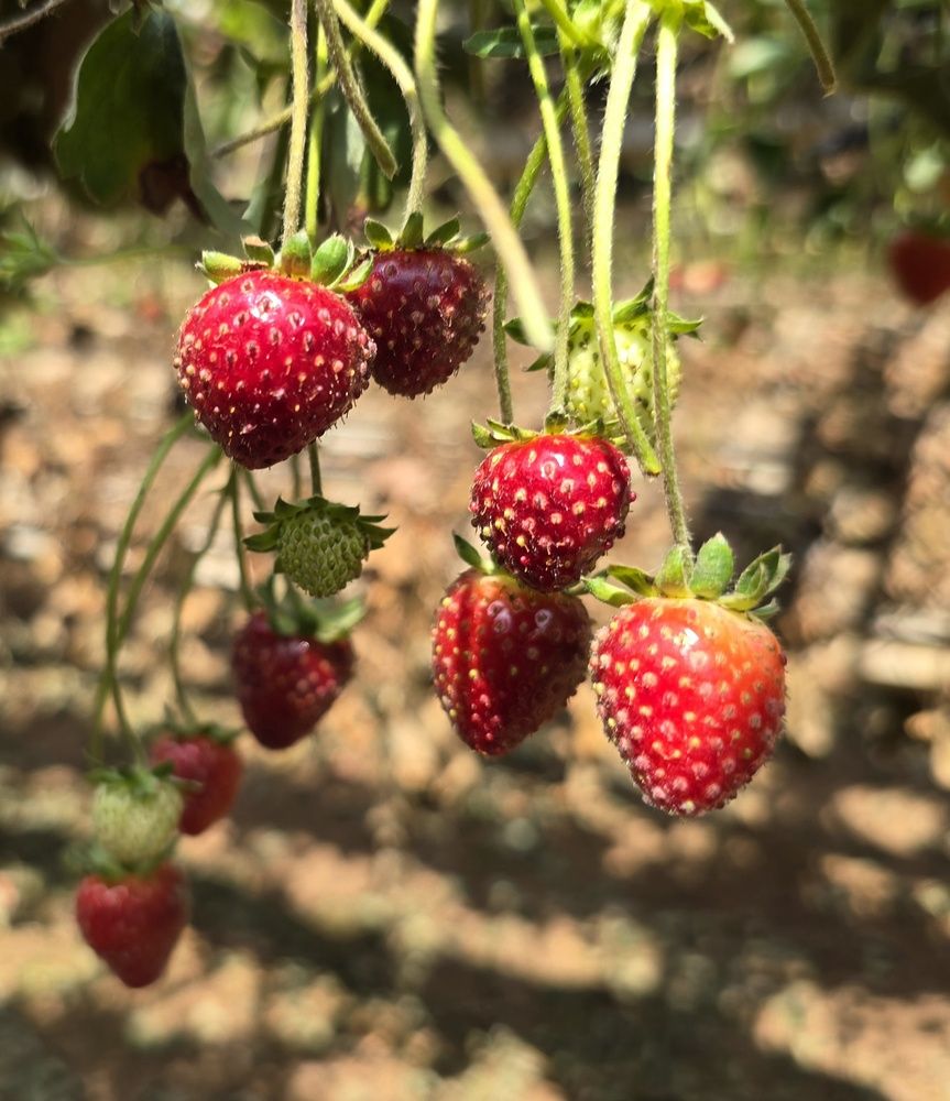 Photograph by Yulia Rotbach