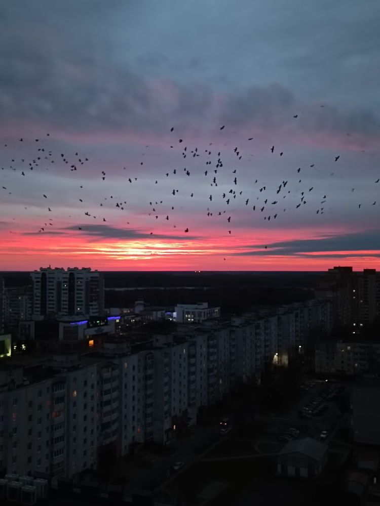 Photograph by Елена Пархоменко