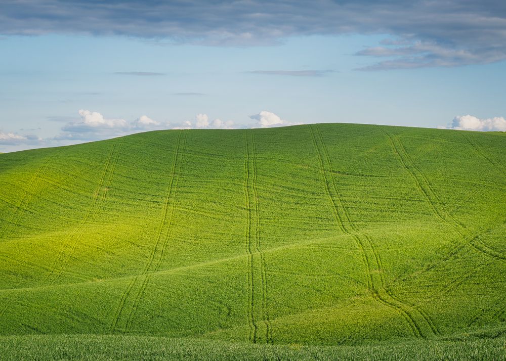 Photograph by Lamba-Benegui Alexandru