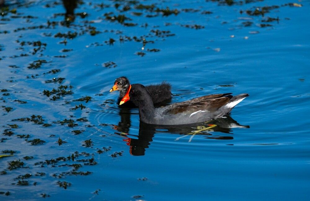 Photograph by Thomas Dunston