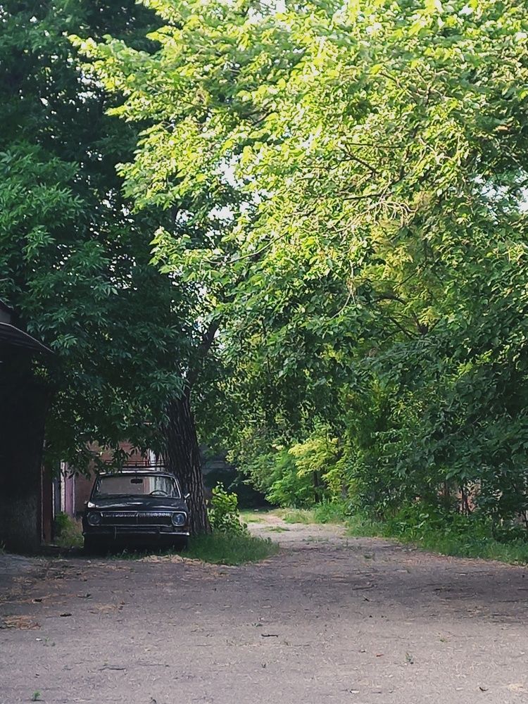 Photograph by TATIANA KORNELIUK