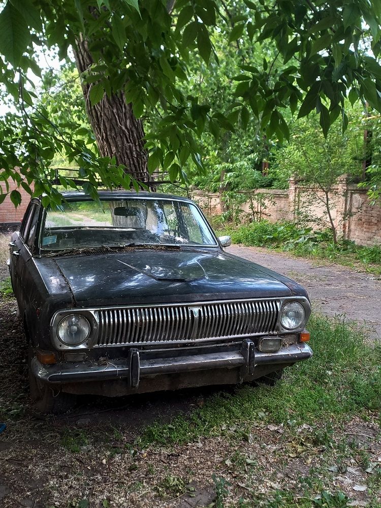 Photograph by TATIANA KORNELIUK