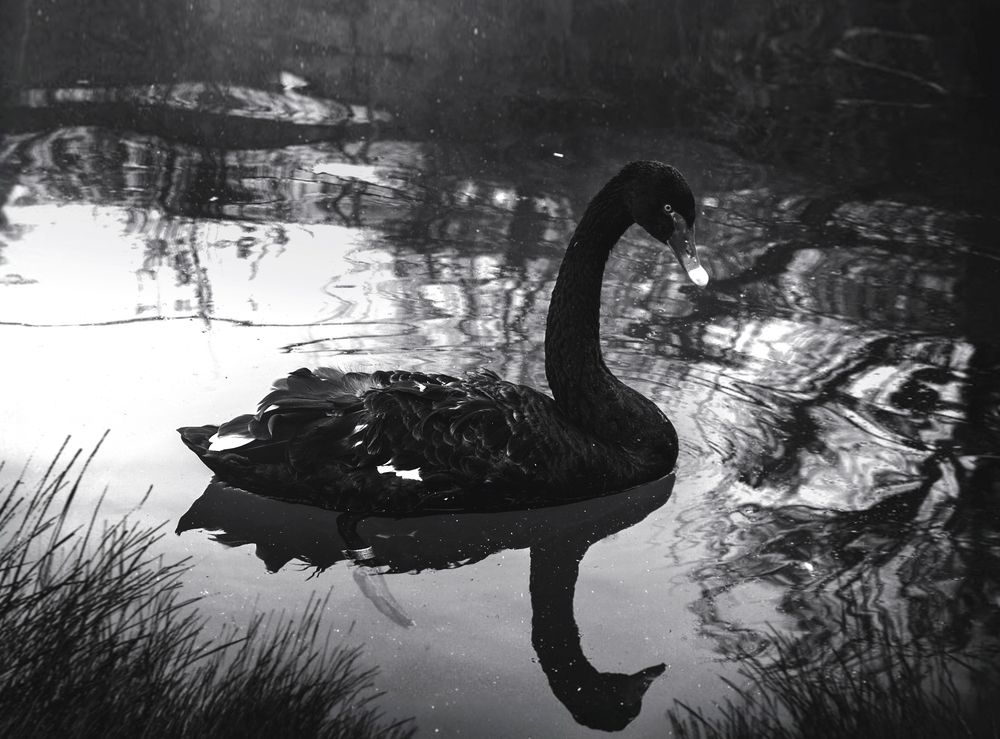 Photograph by Tatevik Tananyan