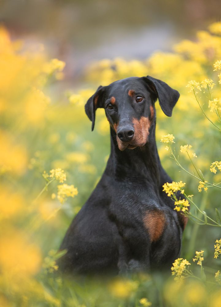 Photograph by Мария Клещенко