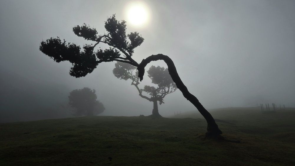Photograph by Grigore Alexandru Ciora