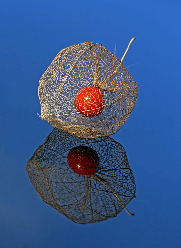 Photograph by Бибичков Михаил