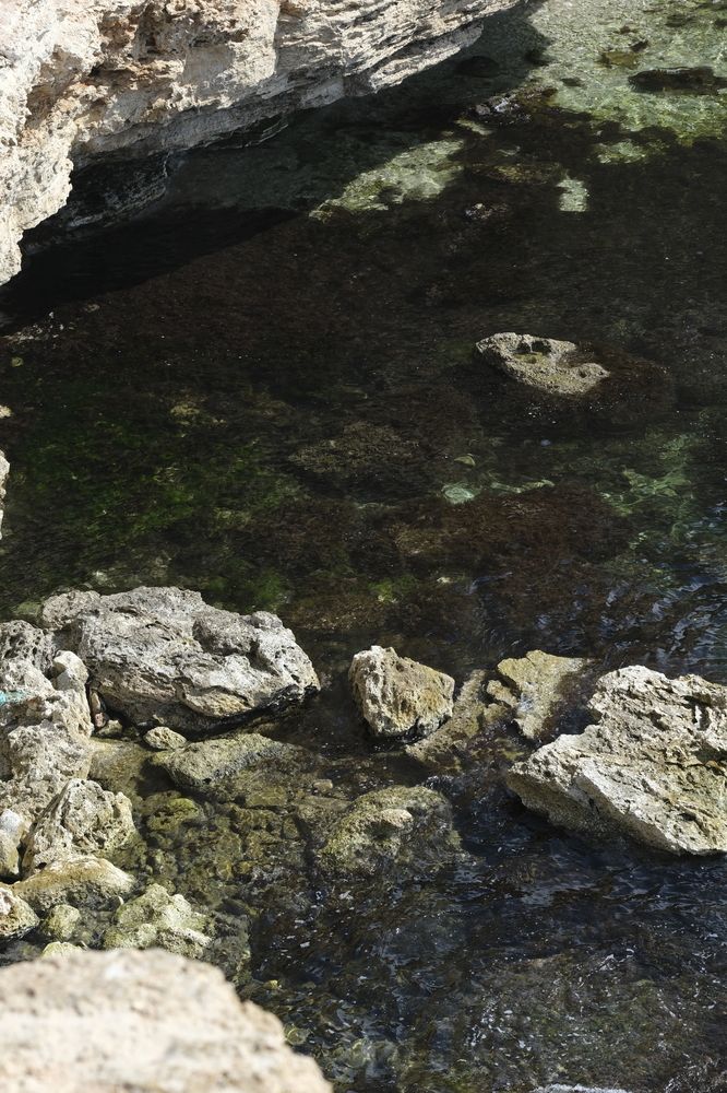 Photograph by Ирина Дегтярева