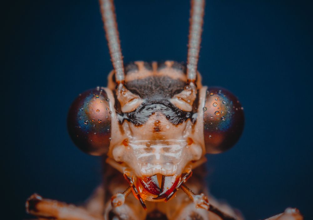 Photograph by Максим Юрлов
