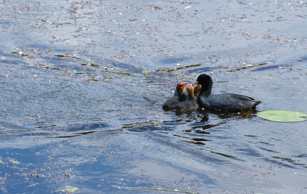 Photograph by Лариса Андреева