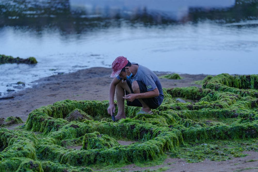 Photograph by Long Do Quang