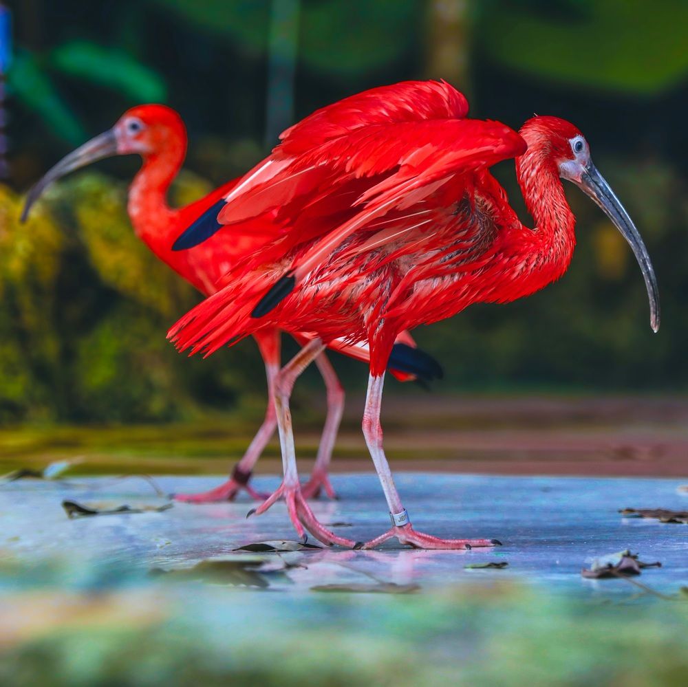 Photograph by Protik Banerjee