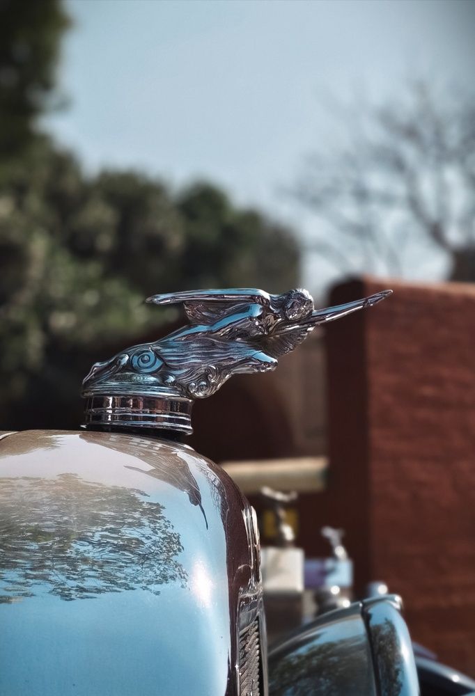 Photograph by Anubhav Bhattacharjee