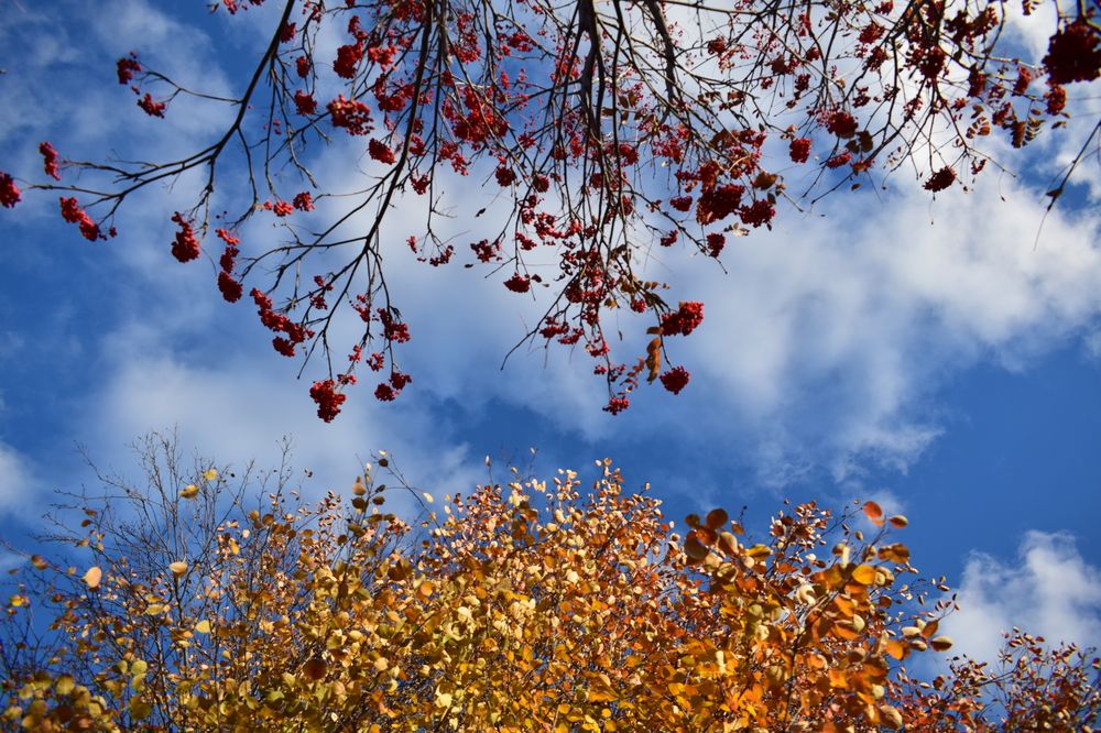 Photograph by Наталья Еременко