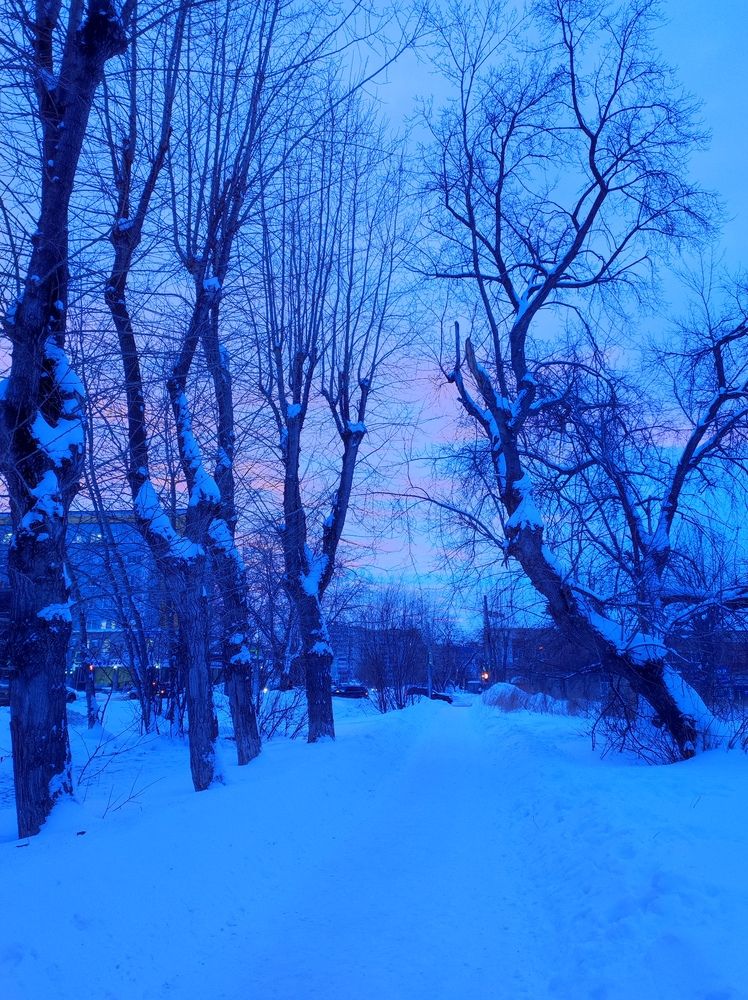 Photograph by Татьяна Никулина