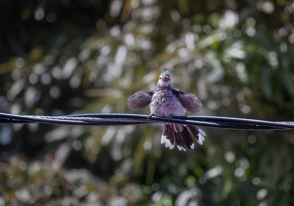 Фотография автора Татьяна Анпилова