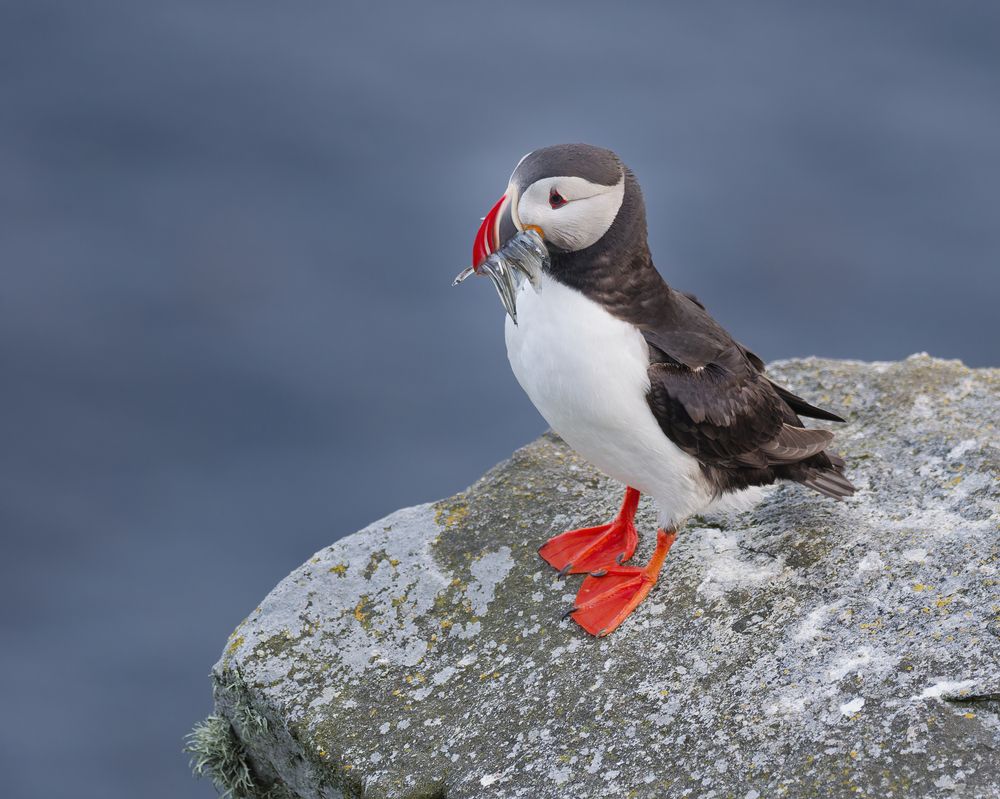 Photograph by Jørgen Hovde