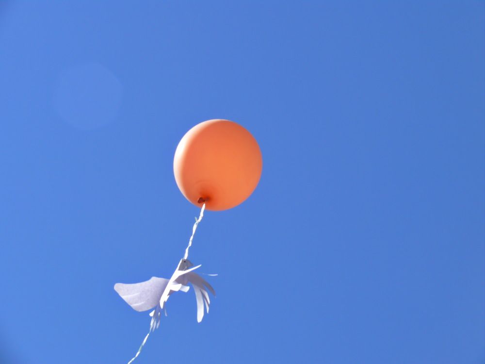 Фотография автора Анатолий Борисов