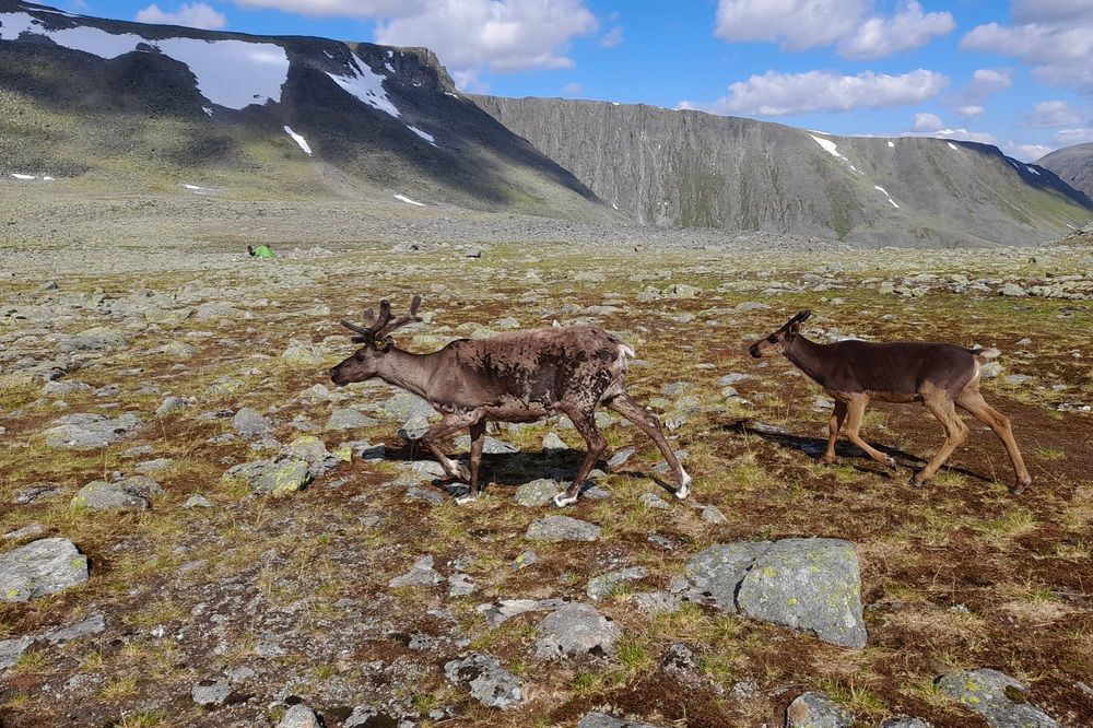 Photograph by Ольга Березовская