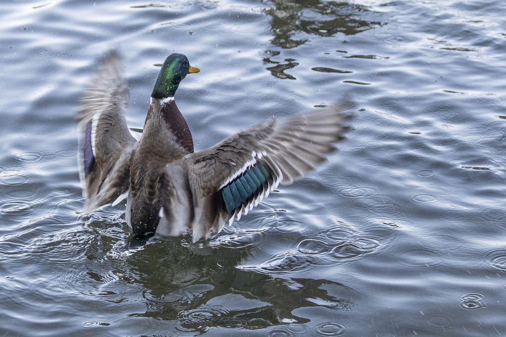 Photograph by Александр Новиков