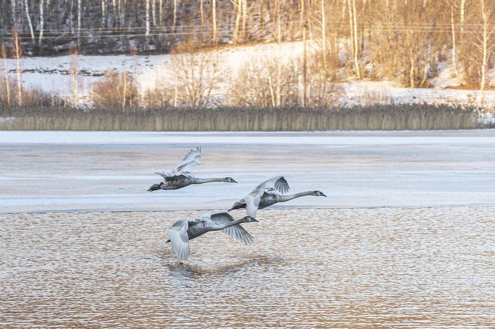 Photograph by Александр Новиков