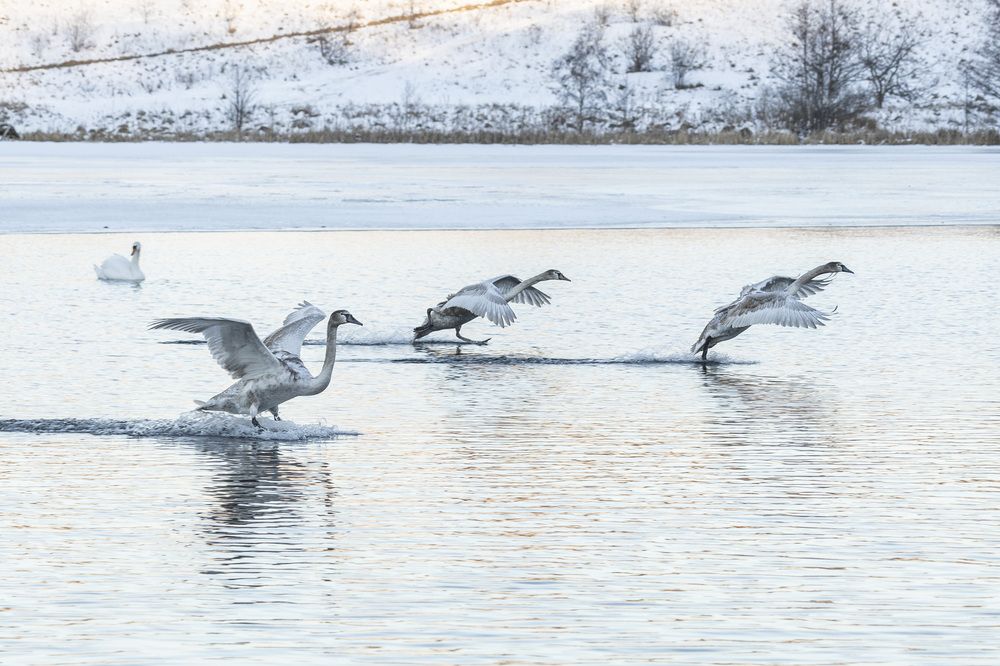 Photograph by Александр Новиков