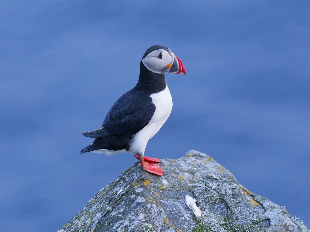 Photograph by Jørgen Hovde