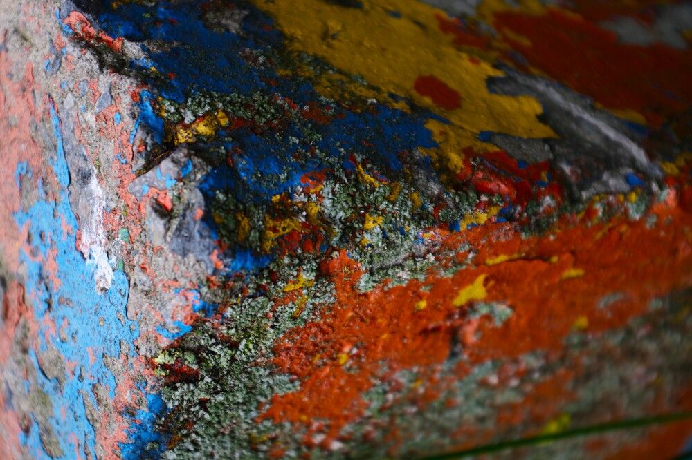 Photograph by Олег Черноокий