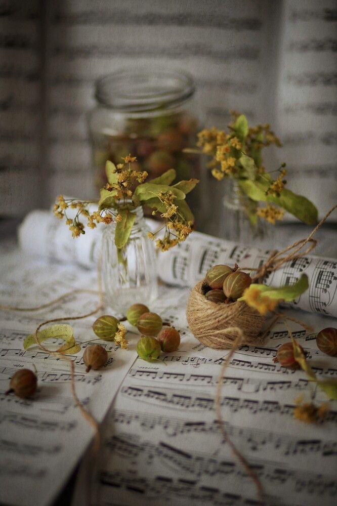 Photograph by Татьяна Максакова