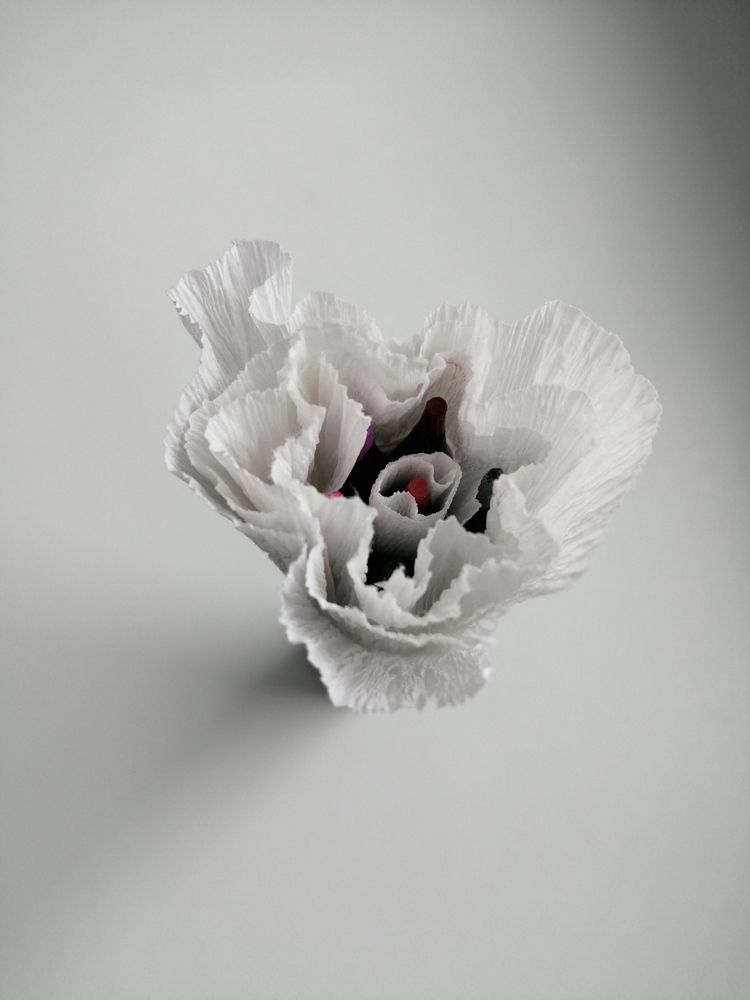Photograph by Кузьмичева Екатерина Васильевна