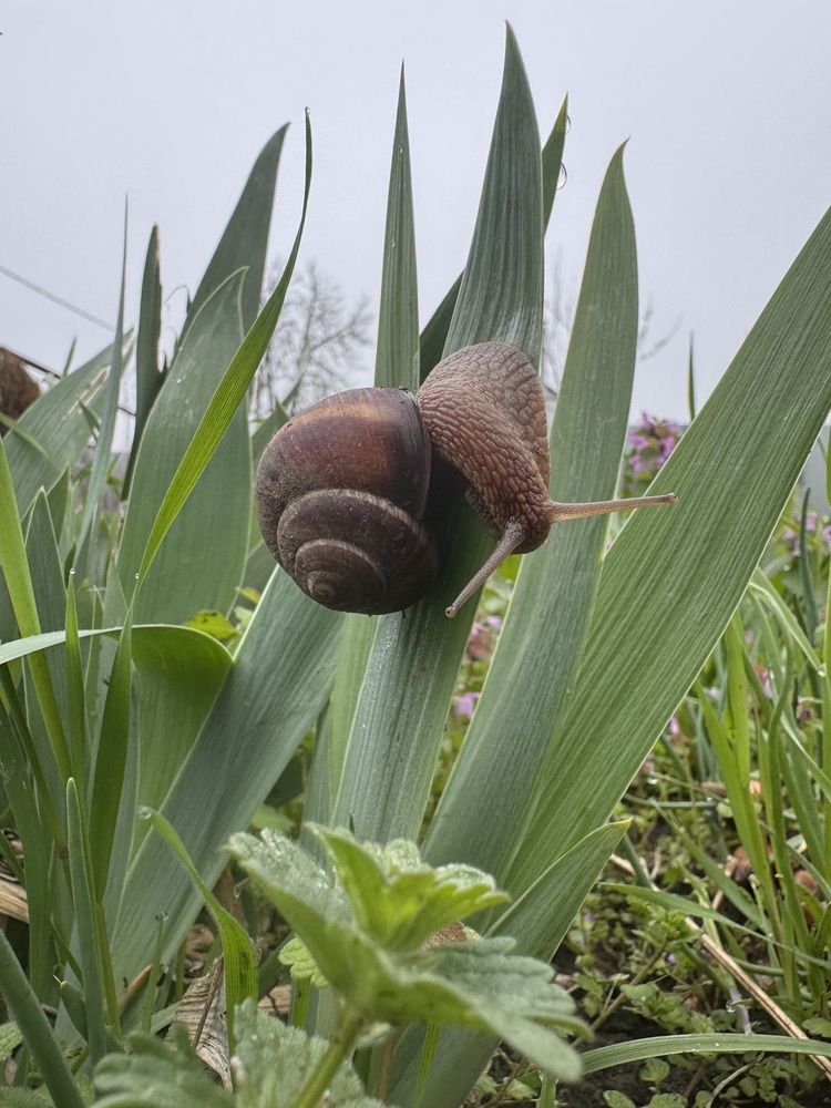 Photograph by Бойкова Наталия
