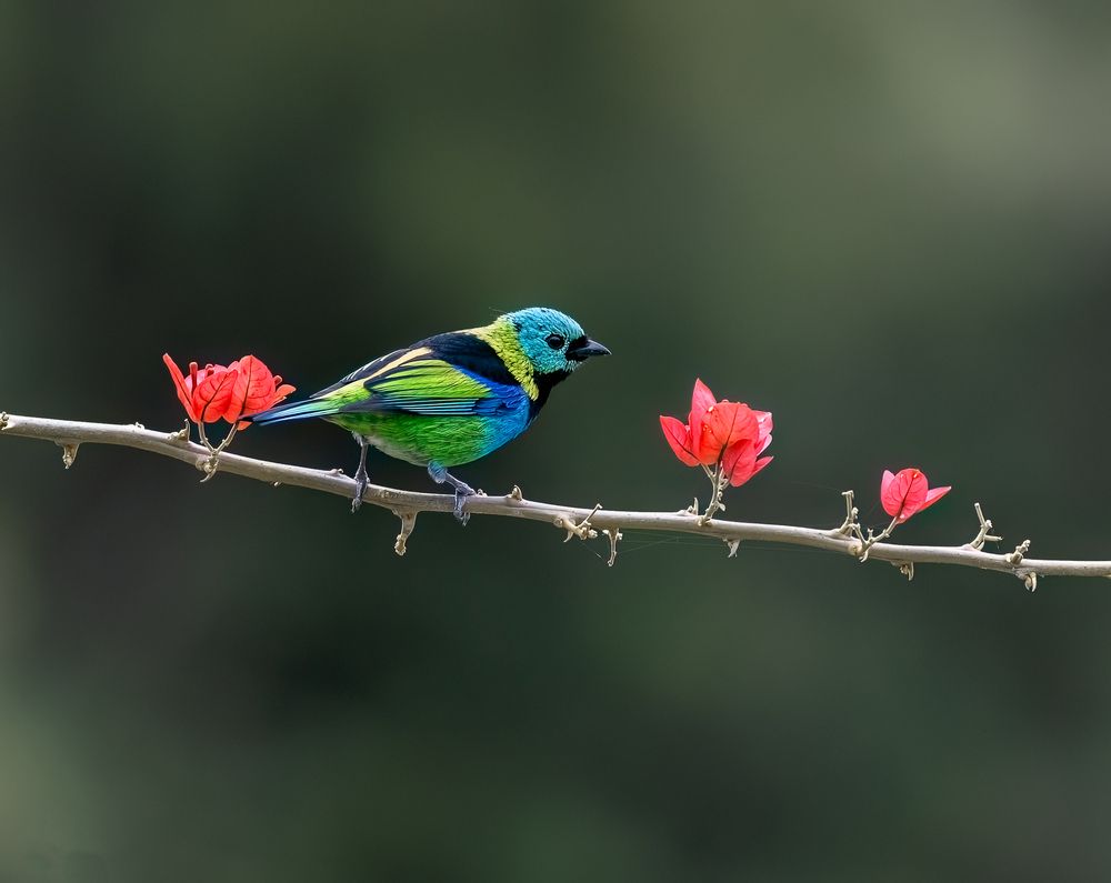 Photograph by Valdir Hobus