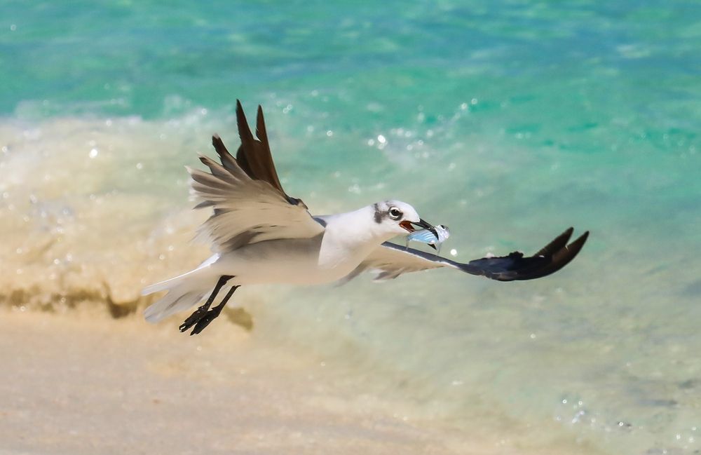 Photograph by Frank cobo blanco